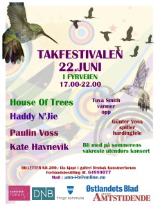 Bakgårdsfestivalen 2013